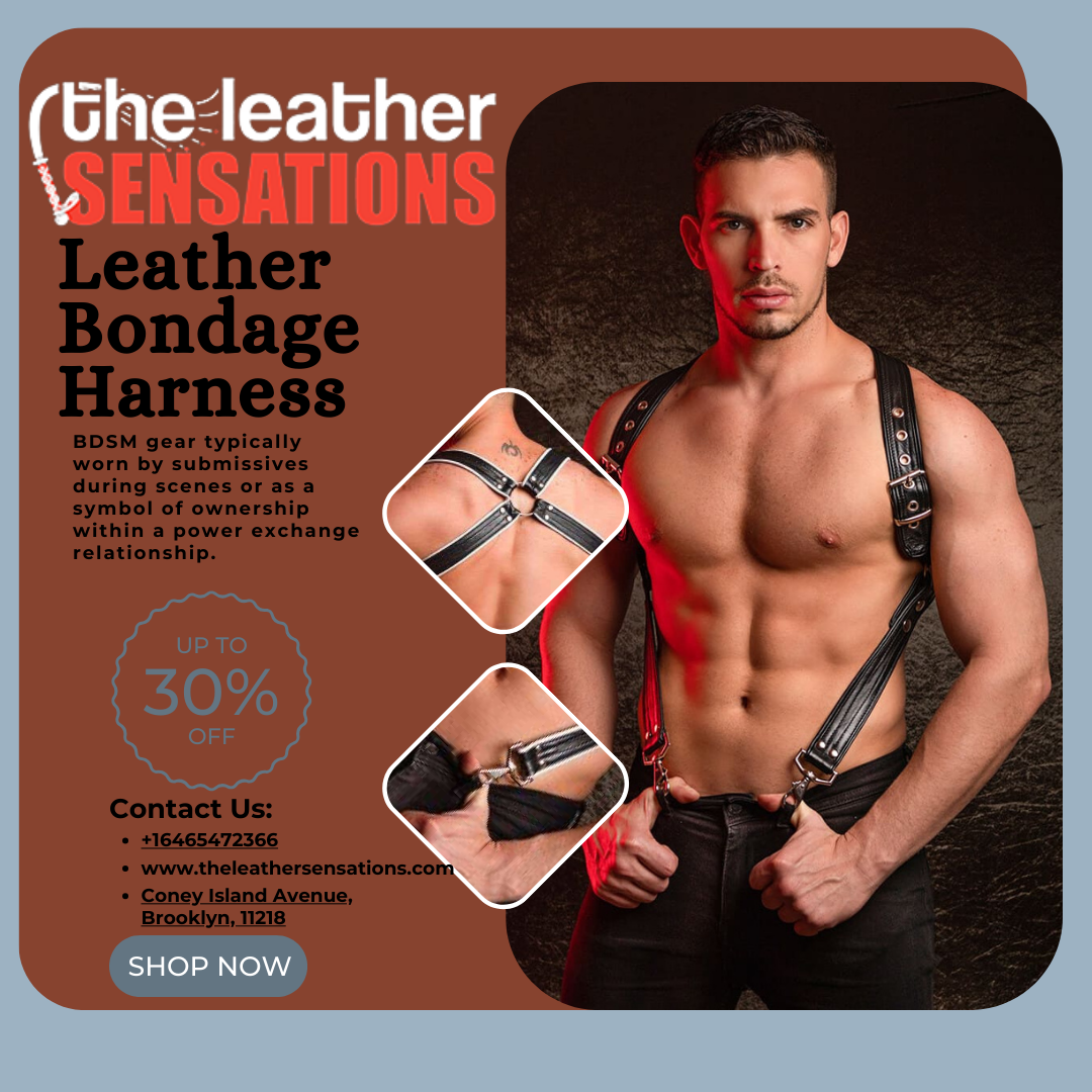 BDSM Leather Harness.png
