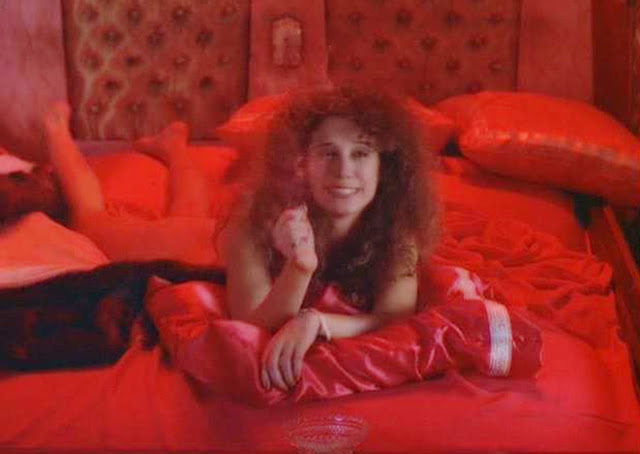 Nancy Travis (“Three Males & A Toddler”)