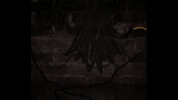 johnholmesjunior POV fucking Michaela McKenzie during Real life wife sharing threesome