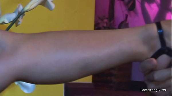 Lusty brunette with big melons gets some hard anal stretching at home.