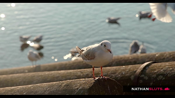 Fat Cock Destroyed Sexy Student Cindy Shine’s Pussy – 4K teaser