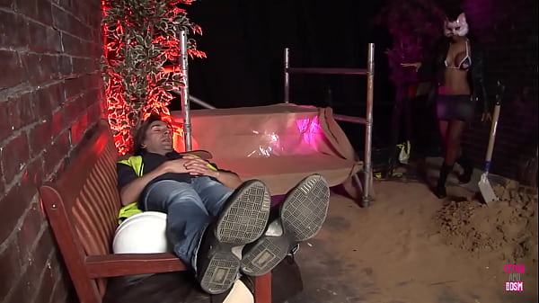 The alley cat approached a labor worker to have sex next to the construction site