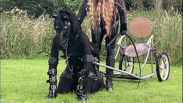 4-Day Ponyplay Training Compilation