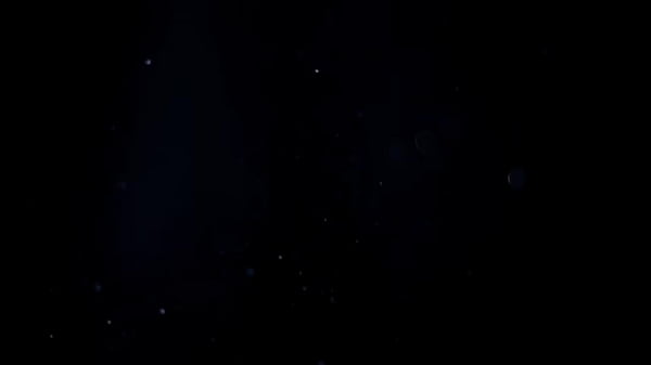 Pausudo arrombando o cú e a buceta da MILF gostosa Luna Medeiros