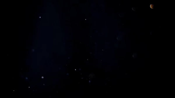 MILF casada trepando com homem pauzudo que o marido dela achou no Tinder