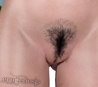 Pubes and varied Hair