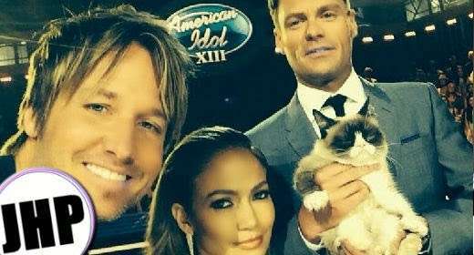 #SELFIE: Grumpy Cat debutta tra le neatly-known particular person di American Idol!