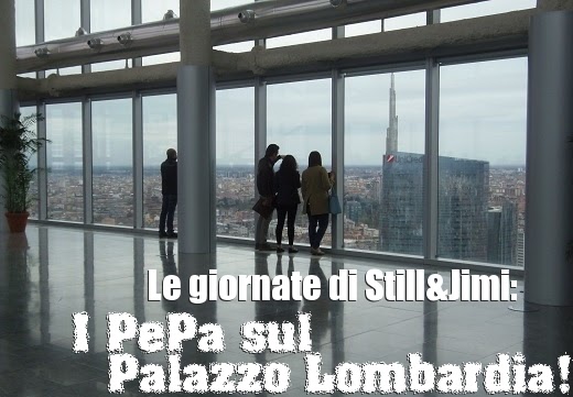 FAI 2014: una giornata sul tetto di Milano