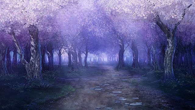 Ravishing Cherry Blossom Woodland (Anime Background)