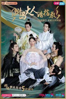 Drama Evaluation: Princess You Have 5 Husbands